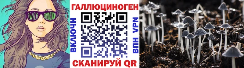 Псилоцибиновые грибы Psilocybe  даркнет сайт  Козловка 